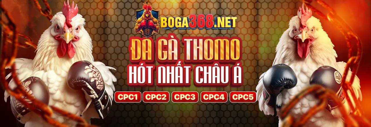Các tính năng bảo mật hàng đầu của OKVIP Group